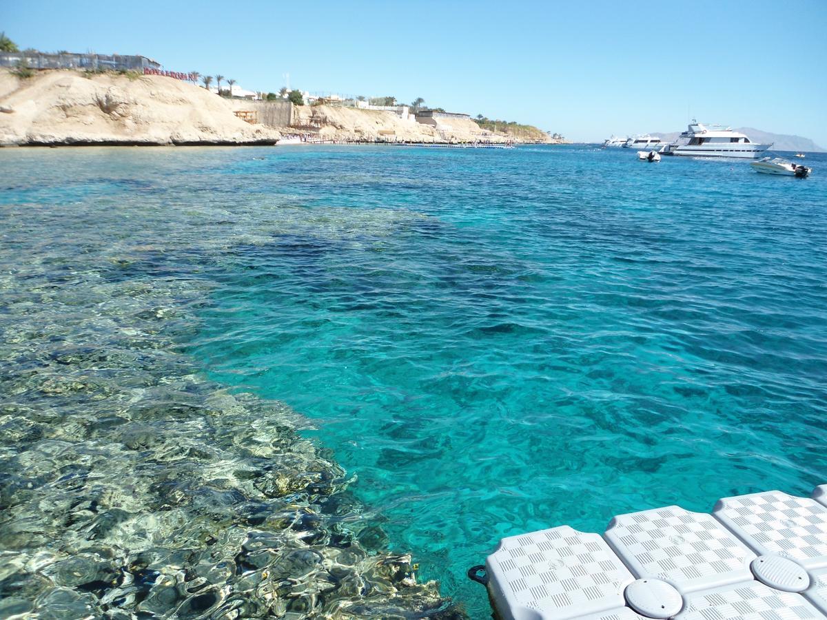 Sharks Bay Oasis Apartment Шарм ел-Шейх Екстериор снимка