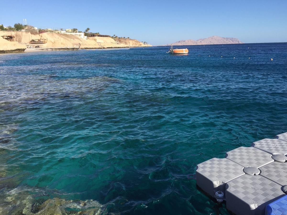 Sharks Bay Oasis Apartment Шарм ел-Шейх Екстериор снимка