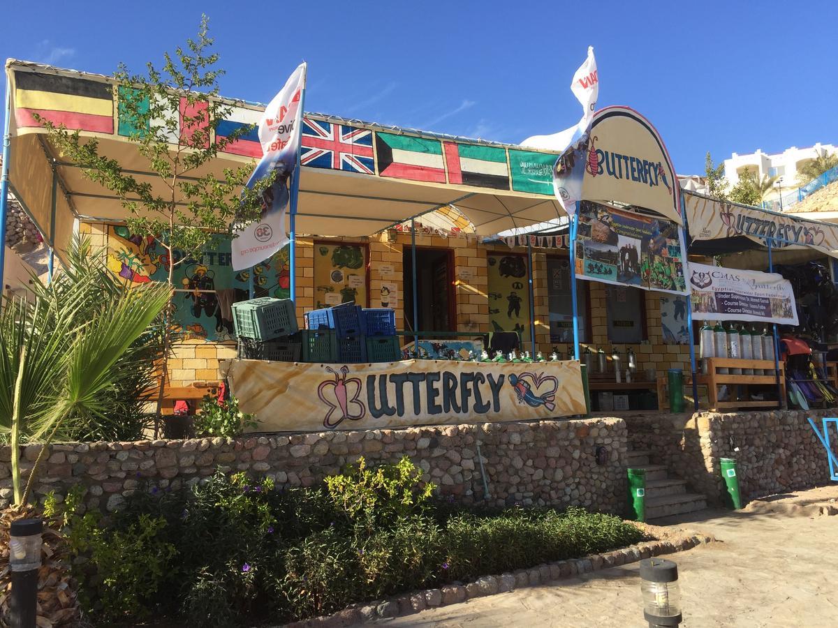 Sharks Bay Oasis Apartment Шарм ел-Шейх Екстериор снимка