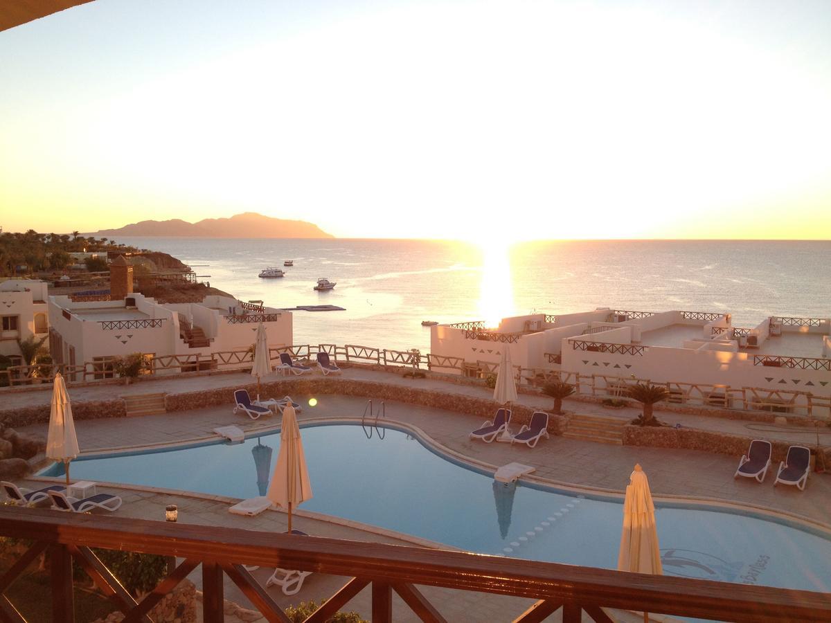 Sharks Bay Oasis Apartment Шарм ел-Шейх Екстериор снимка